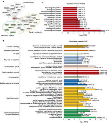 Is MYND Domain-Mediated Assembly of SMYD3 Complexes Involved in Calcium Dependent Signaling?